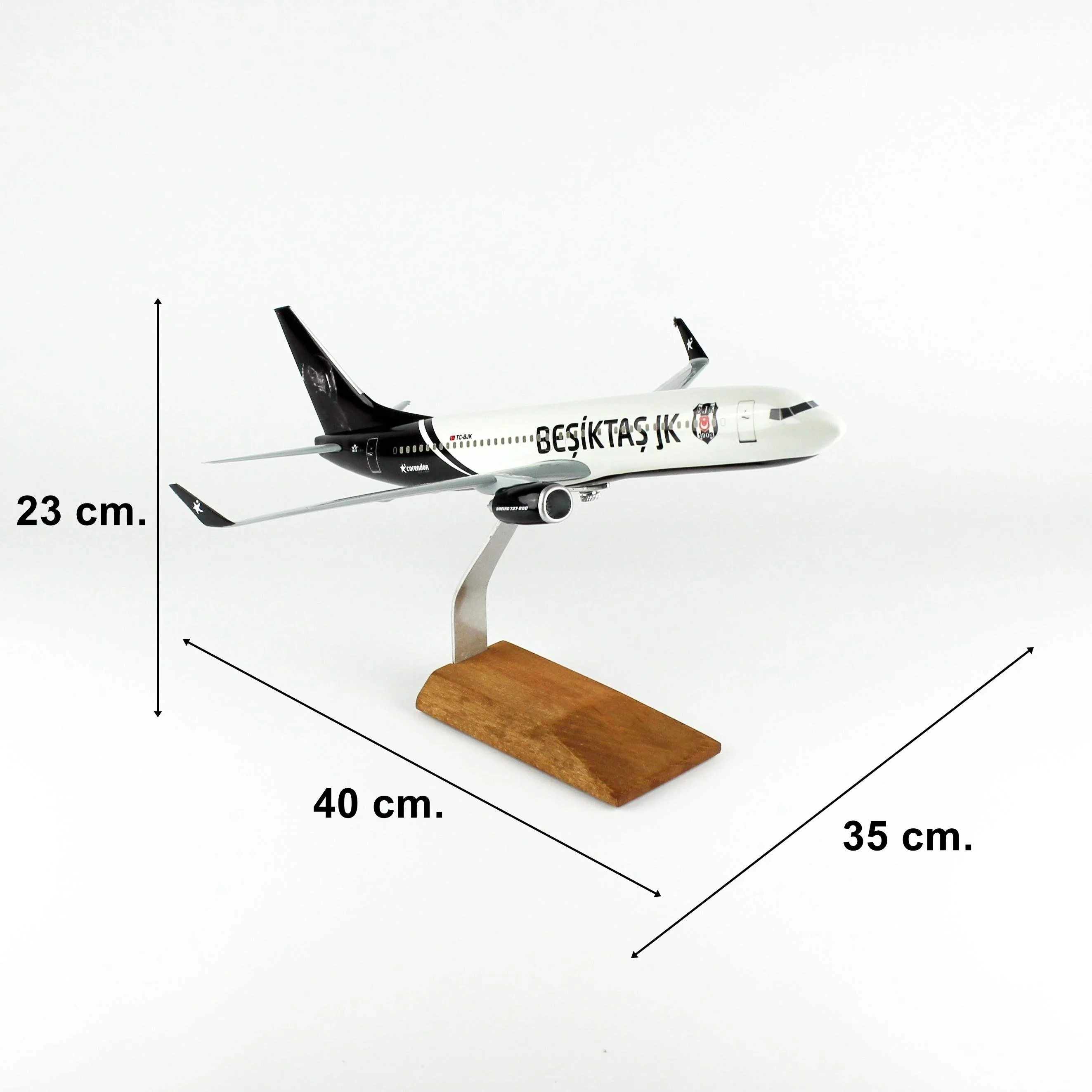 1/100 Ölçek, THY Beşiktaş  Logolu B737-800 Passenger Plane, Ready for Display with Wooden Stand